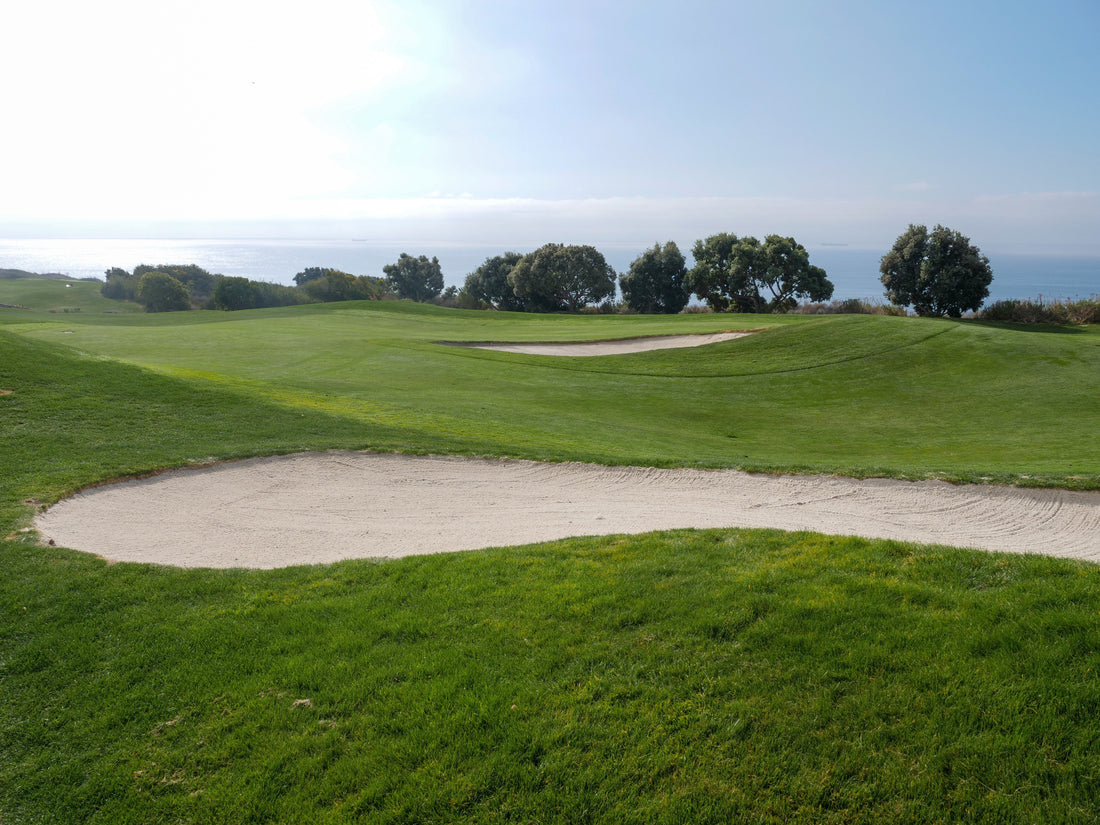 Why Golf Is Gaining Popularity Among Young Professionals